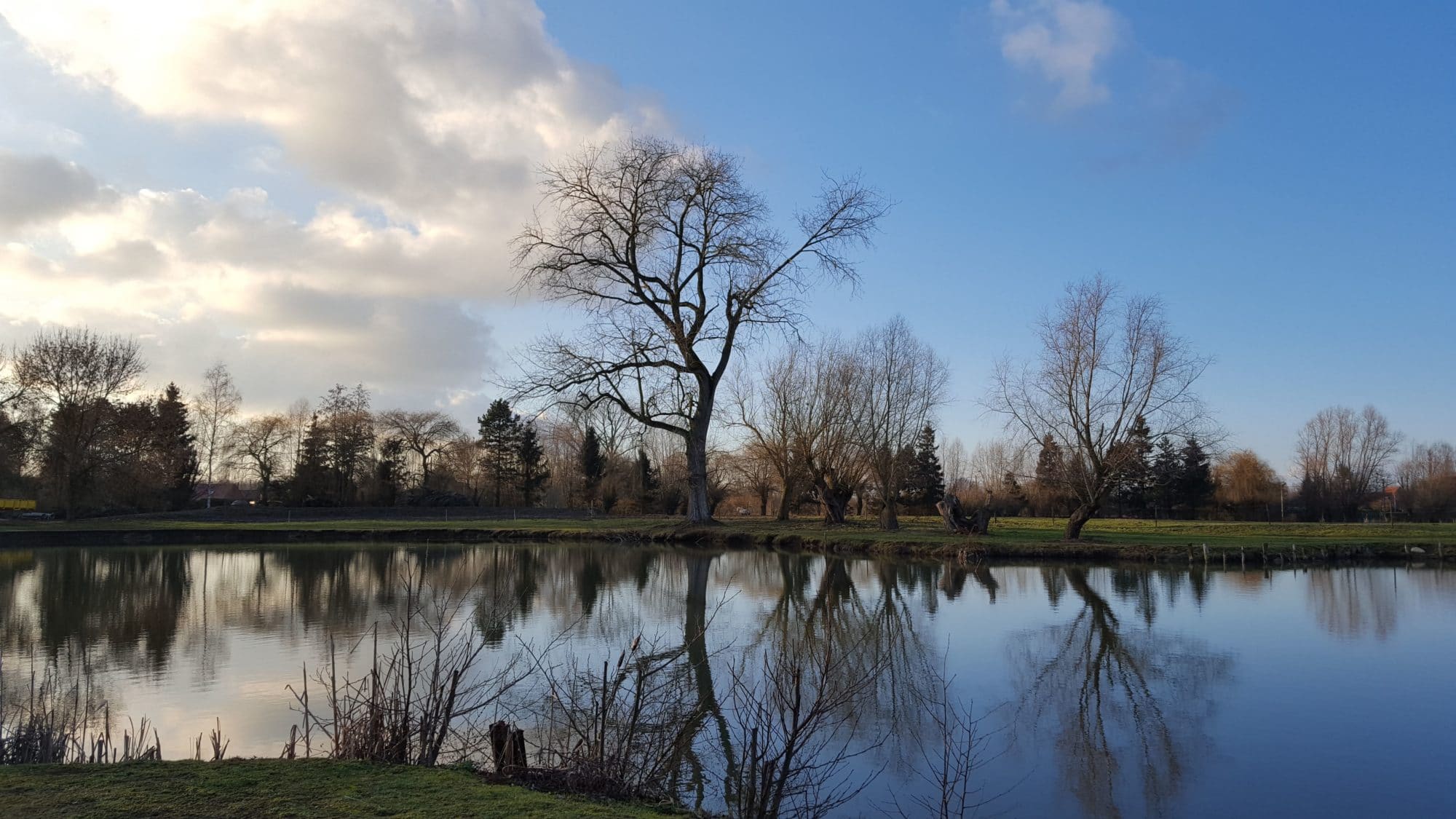 Etang de pêche à la carpe de nuit Nord (59) Etang de Chorette