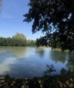 L'entre deux eaux (nuits)